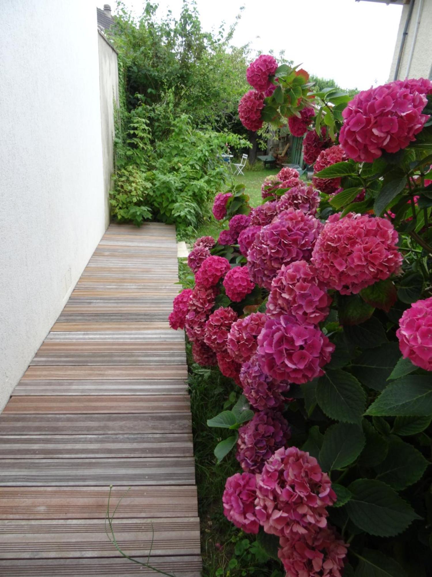 Maison D'Hotes Les Roses Tremieres Saclay Exterior photo